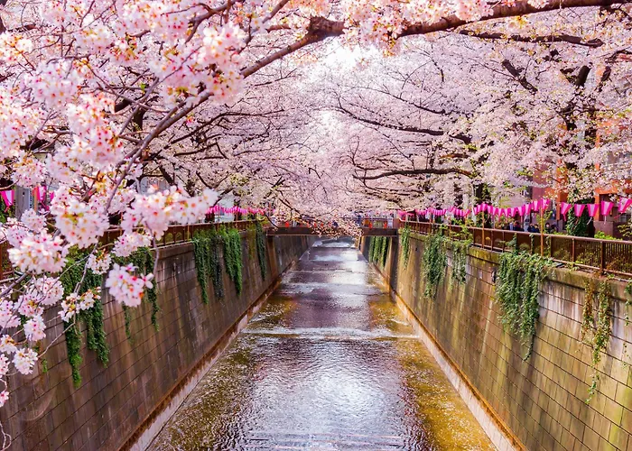 Hotel The Westin Tokyo